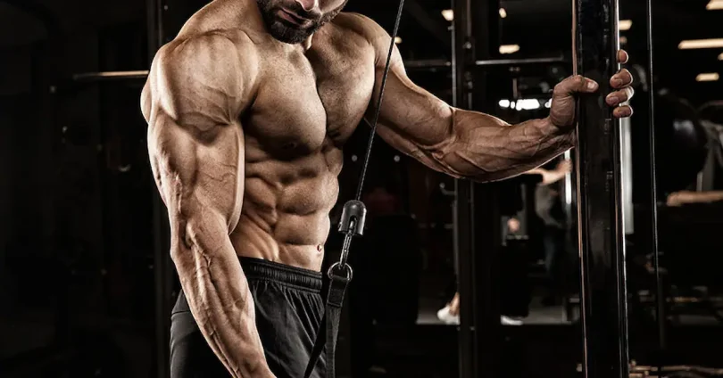 fitness program to build strength